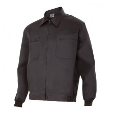 CAZADORA LIGERA VELILLA 61601