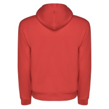 SUDADERA ROLY CAPUCHA 1087
