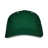 Gorra roly panel adulto