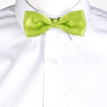 PAJARITA GARYS 324000