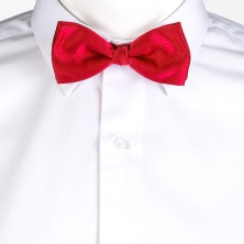 PAJARITA GARYS 324000