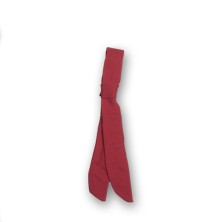 PAÑUELO GARYS 325000