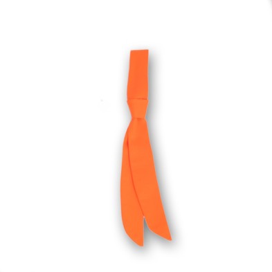 Pañuelo Garys 325000