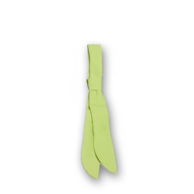 Pañuelo Garys 325000