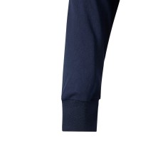 POLO A.V. MANGA LARGA VELILLA 305507