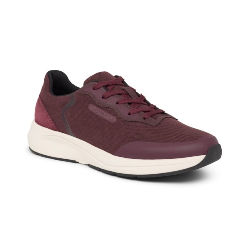 Zapatilla suecos vinter