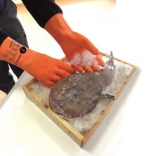 GUANTE GLA JOMITEX INDUSTRIA PESQUERA