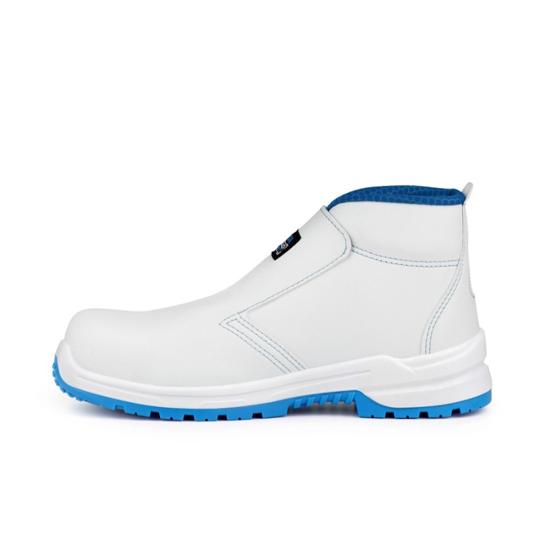 Bota robusta albus blanca