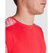 CAMISETA TECNICA HOMBRE ROLY ZOLDER 6653