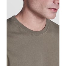 CAMISETA M/C ROLY BRACO