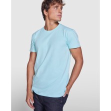 camiseta roly beagle 6554 