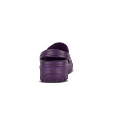 ZUECO ULTRALIGERO WORKTEAM P2006