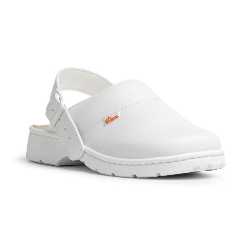 Zueco dian 1805-piel-a