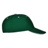 Gorra roly panel adulto