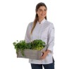 Chaqueta mujer cocinera dyneke 8593579