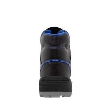 Panter fragua plus online