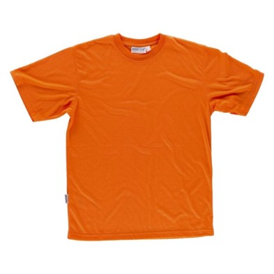 CAMISETA WORKTEAM C6010