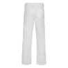 Pantalon roly pintor 9102