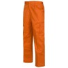 Pantalon workteam b1403