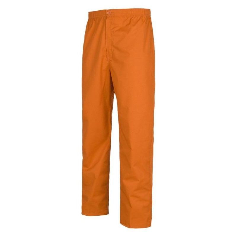 Pantalon workteam b9300