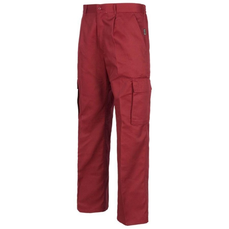 Pantalon workteam b1403