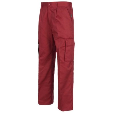 Pantalon Workteam b1403