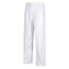 PANTALON WORKTEAM B9300