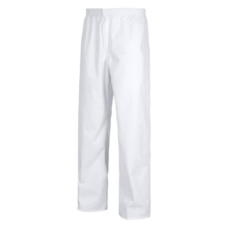 Pantalon workteam b9300
