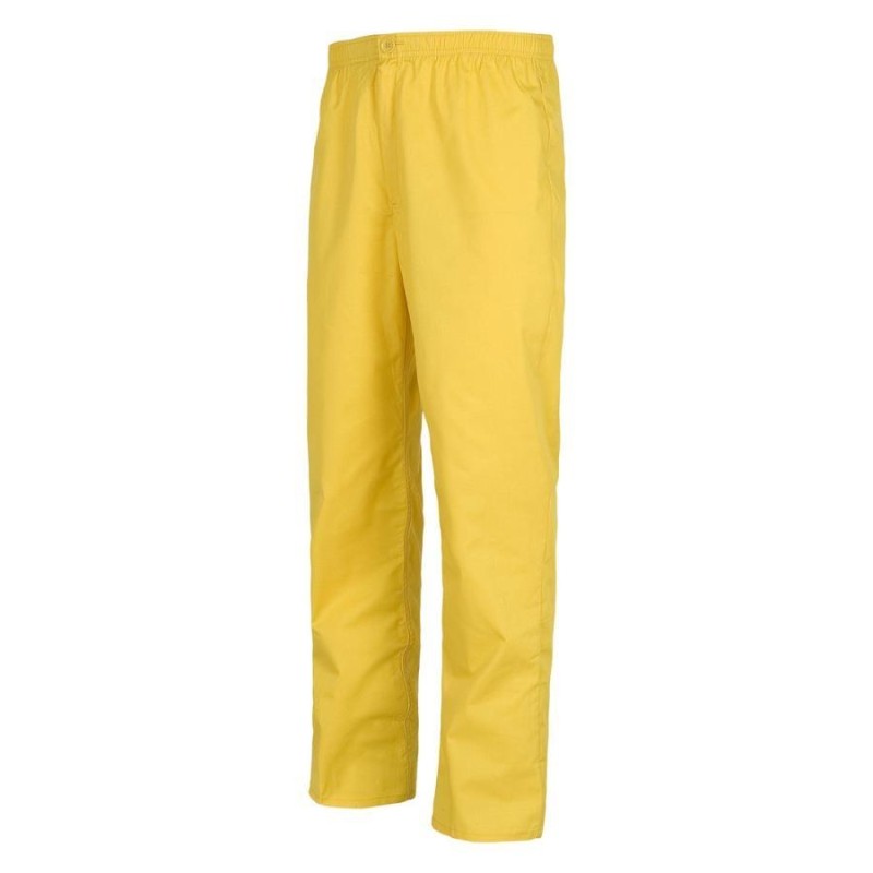 Pantalon workteam b9300