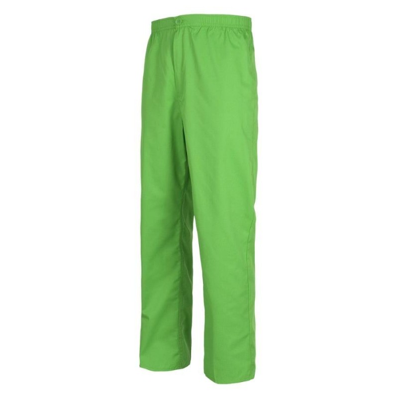 Pantalon workteam b9300