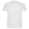 Camiseta técnica hombre montecarlo