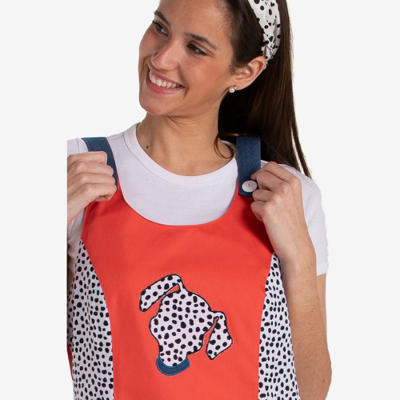 Pichi maestra dyneke dalmata 8729857