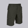 Bermuda garys arce 750300