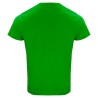 Camiseta clique classic oc-t 029364