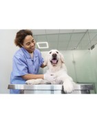 Uniformes para Veterinarios | Ropa Profesional y Resistente