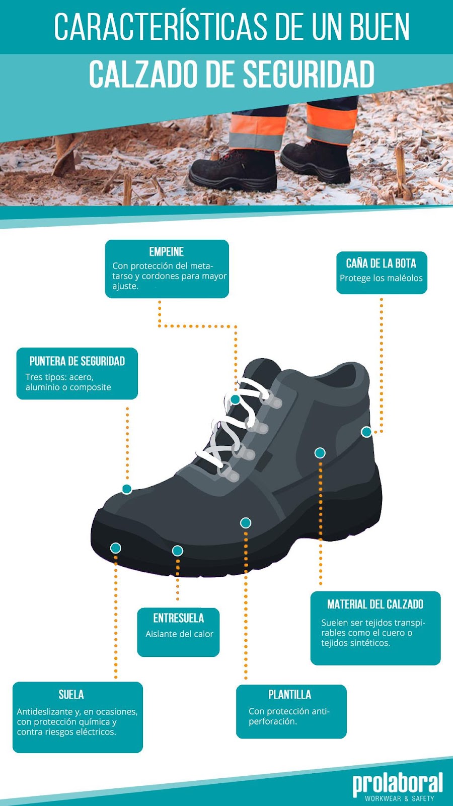 Características clave para elegir un buen calzado de seguridad