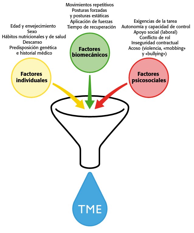Factores de riesgo de TME y su clasificación