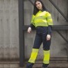 Modelo Emergencias Workteam