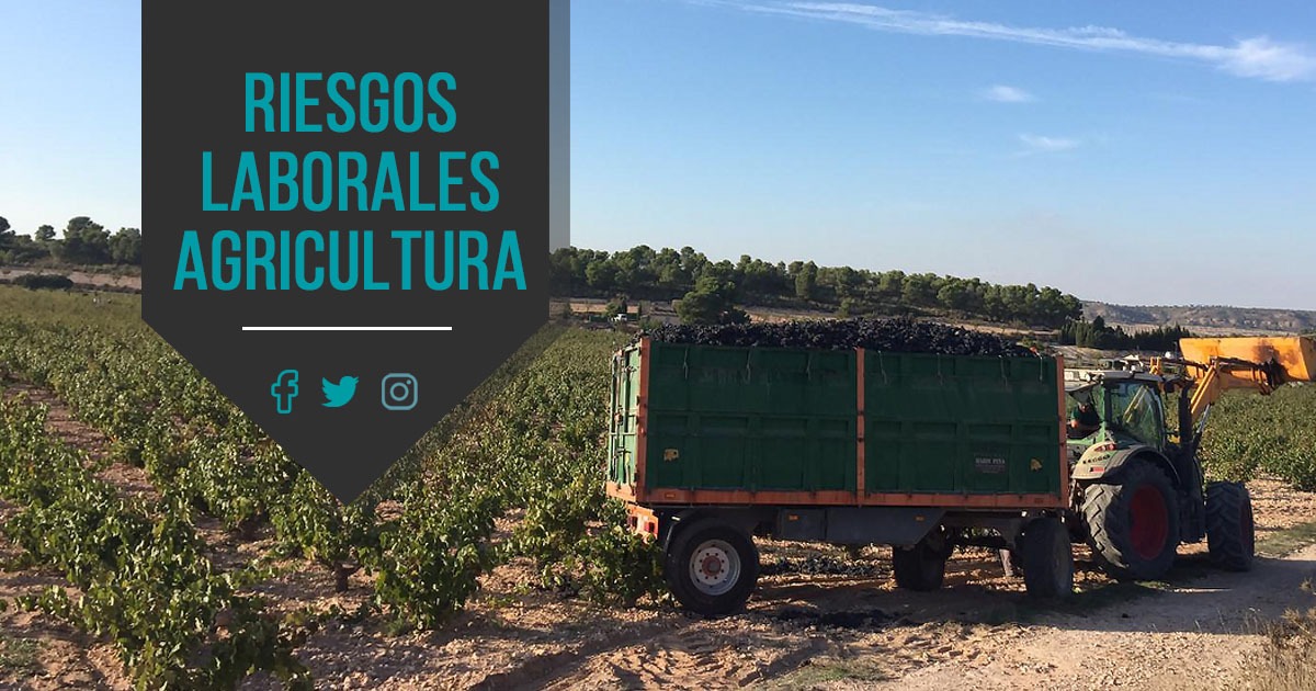 Riesgos laborales en la agricultura y cómo evitarlos