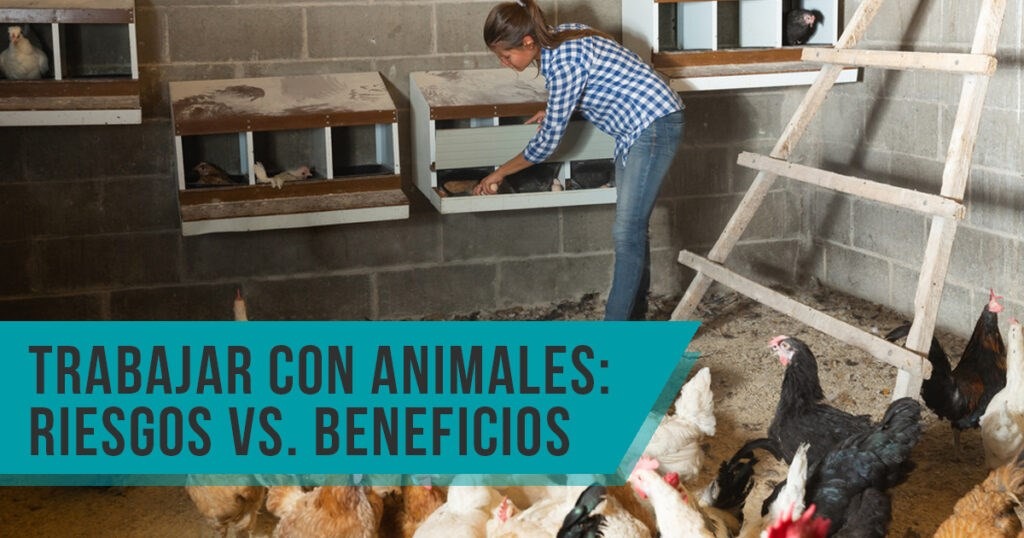 Trabajar con animales: ¿los riesgos superan a los beneficios?